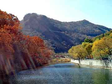 新澳天天开奖资料大全旅游团，傻女配暴君